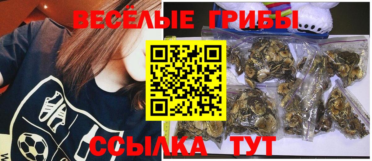 Галлюциногенные грибы Cubensis  Галлюциногенные грибы Psilocybe  где купить наркотик  Вход с VPN  Благовещенск 
